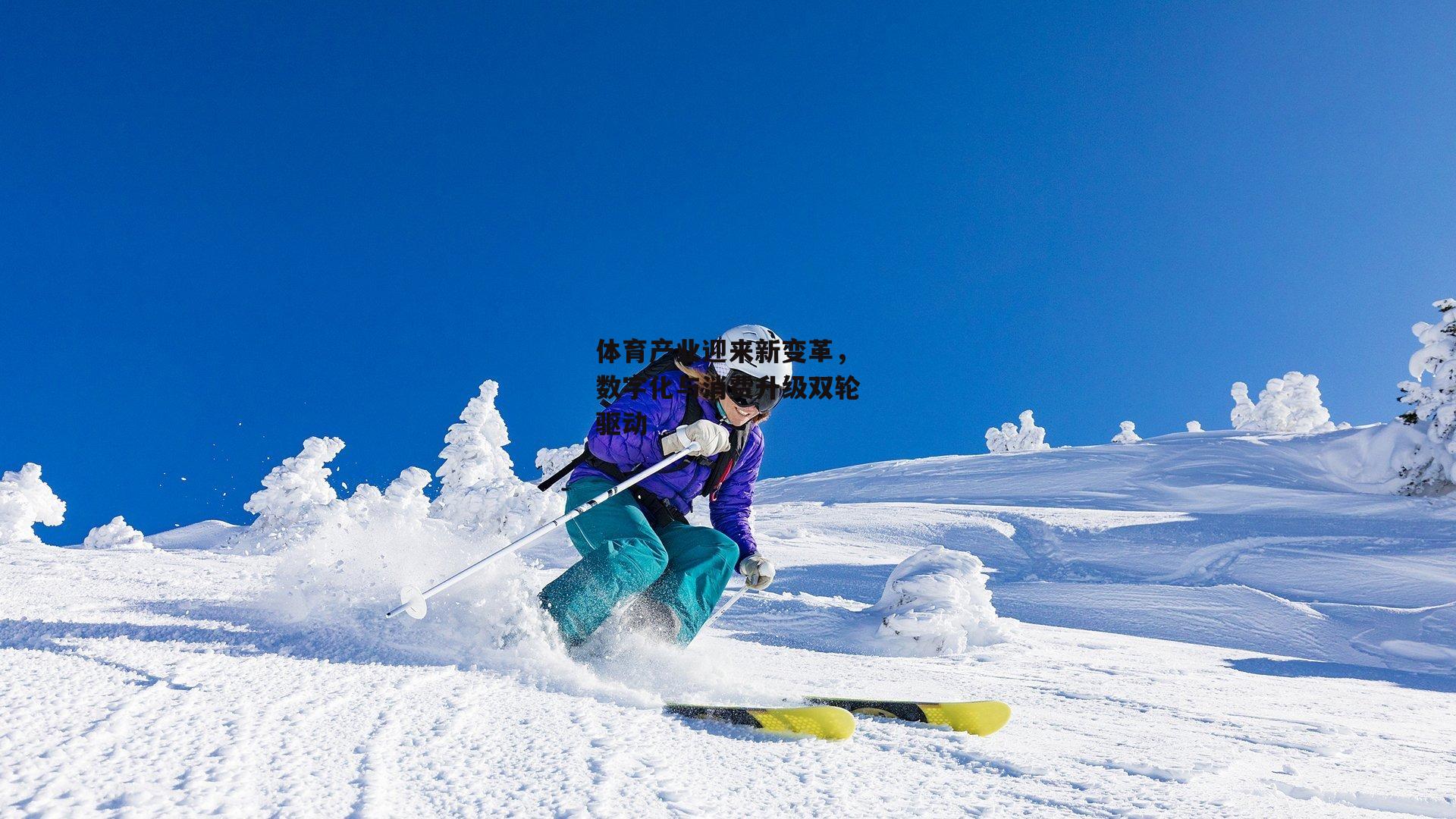 体育产业迎来新变革，数字化与消费升级双轮驱动